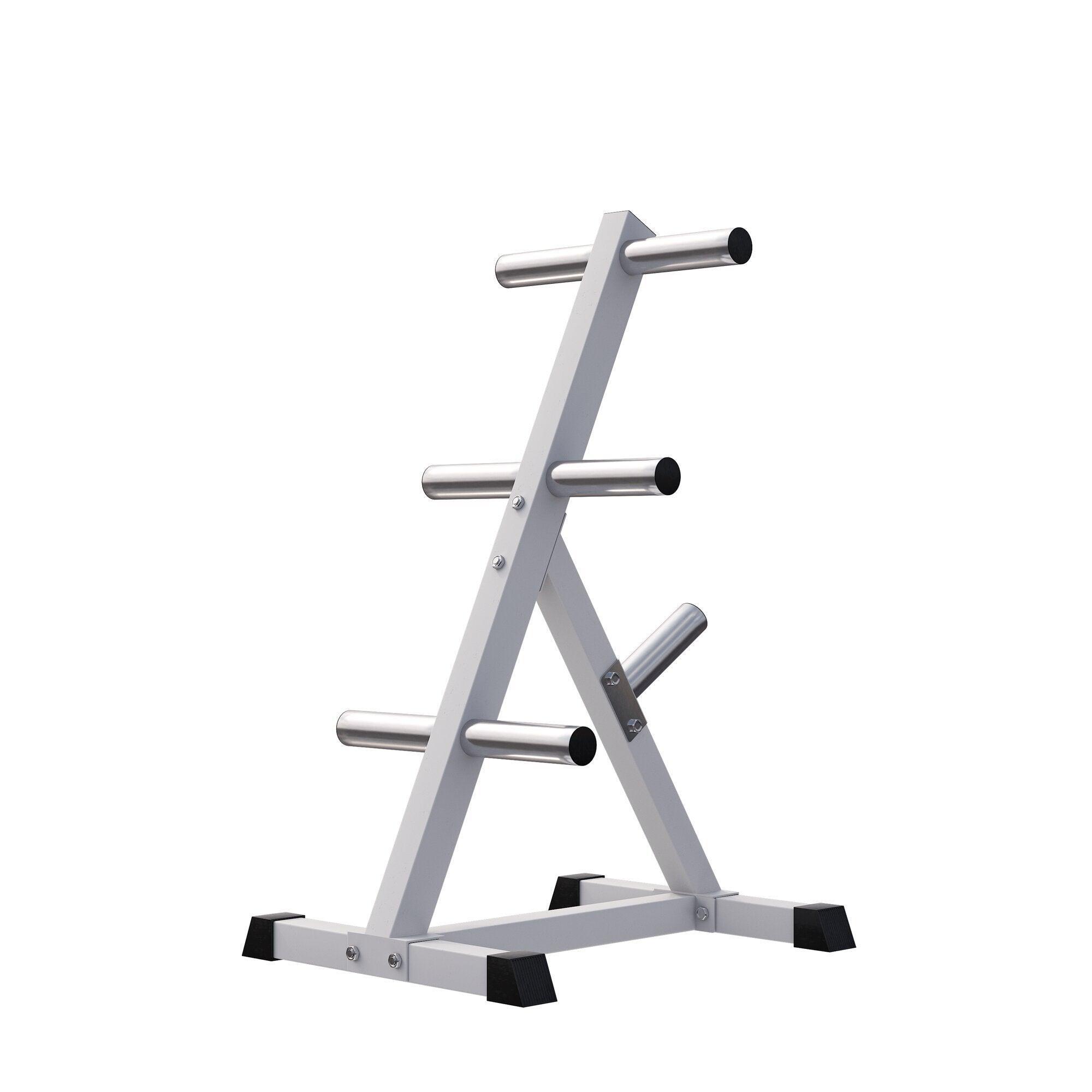 Suporte para placa de pesos com 4 barras 50/51 mm