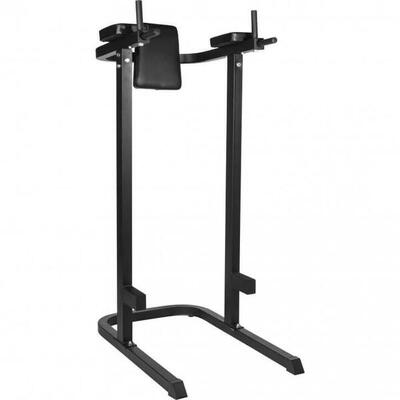 Multifunction Dip Station