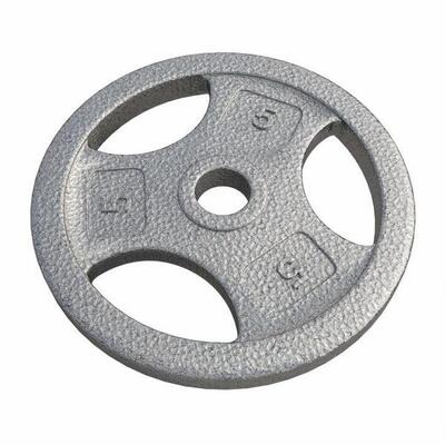 Gewicht - halterschijf - 1.25 kg - gripper gietijzer - 30 mm