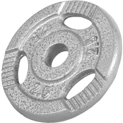 Gewicht - halterschijf - 1.25 kg - gripper gietijzer - 30 mm