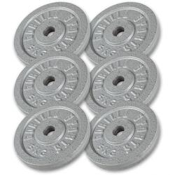 6 POIDS EN FONTE DE 5 KG| DIAMETRE 31 MM | MUSCULATION