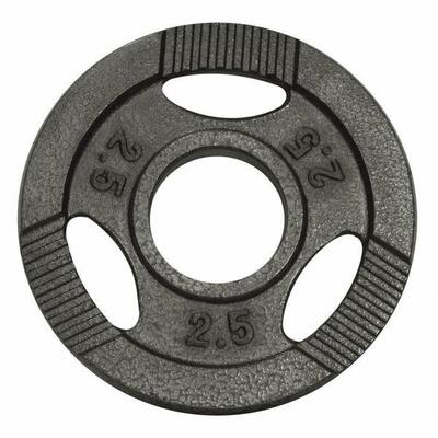 Gewicht - halterschijf - 1.25 kg - gripper gietijzer - 50/51 mm