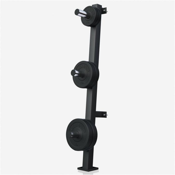 RACK DE RANGEMENT MURAL POUR DISQUES DE MUSCLATION 51MM 4/7