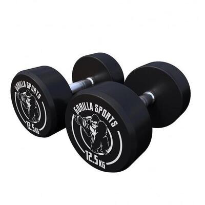 Dumbbell set 25 kg - halterset - 2x12.5 kg - dumbells - gietijzer