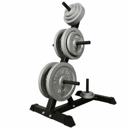 PACK RACK DE RANGEMENT ET POIDS EN FONTE | DIAMETRE 31 MM | MUSCULATION