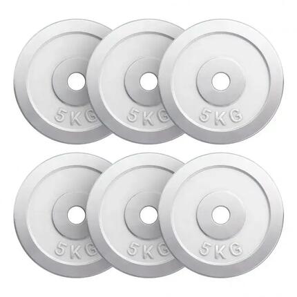 Disque de musculation GORILLA SPORTS Chrom 20 kg fonte 30 mm