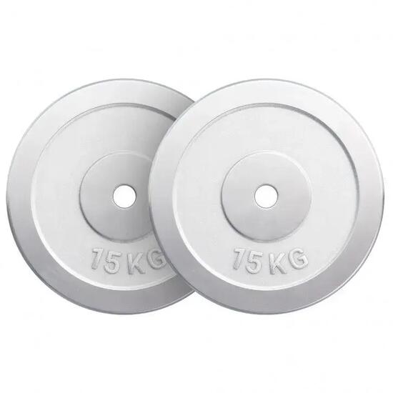 DISQUE DE MUSCULATION CHROMÉ | DIAM 31 MM | AU CHOIX DE 1,25KG À 30KG
