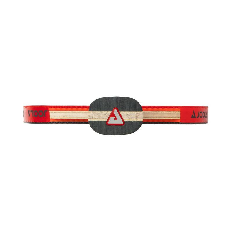 Paletă JOOLA Red Carbon Control, multicolor