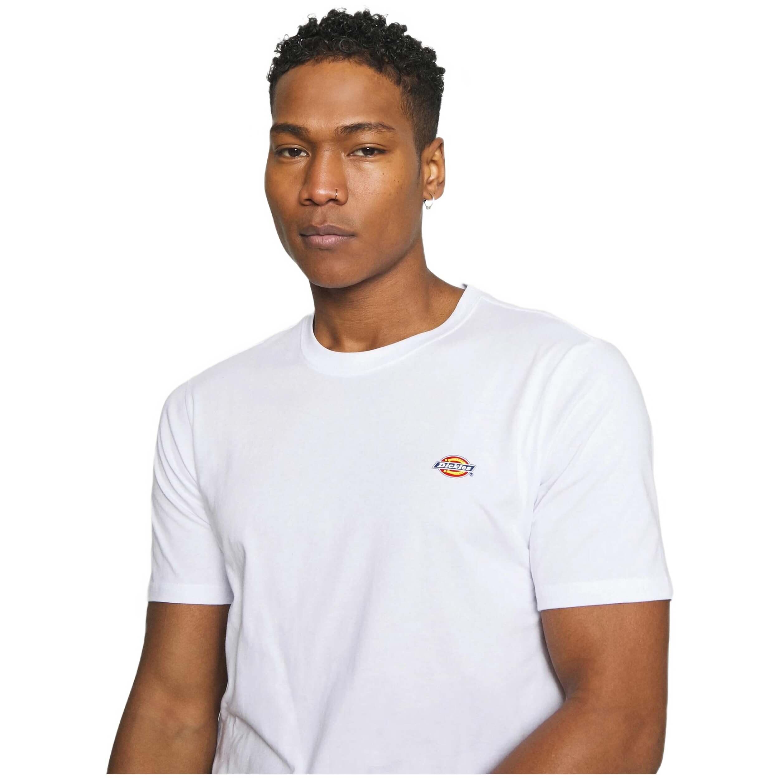 Camiseta de manga corta Dickies modelo DK0A4XDBWHX1 para hombre 5/5