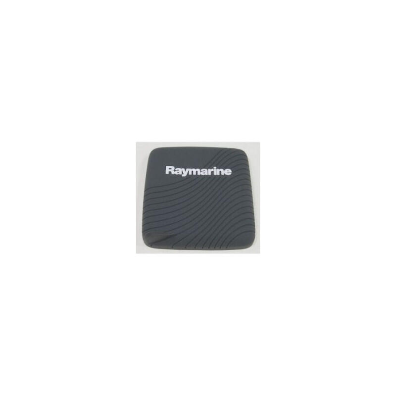 RAYMARINE picture