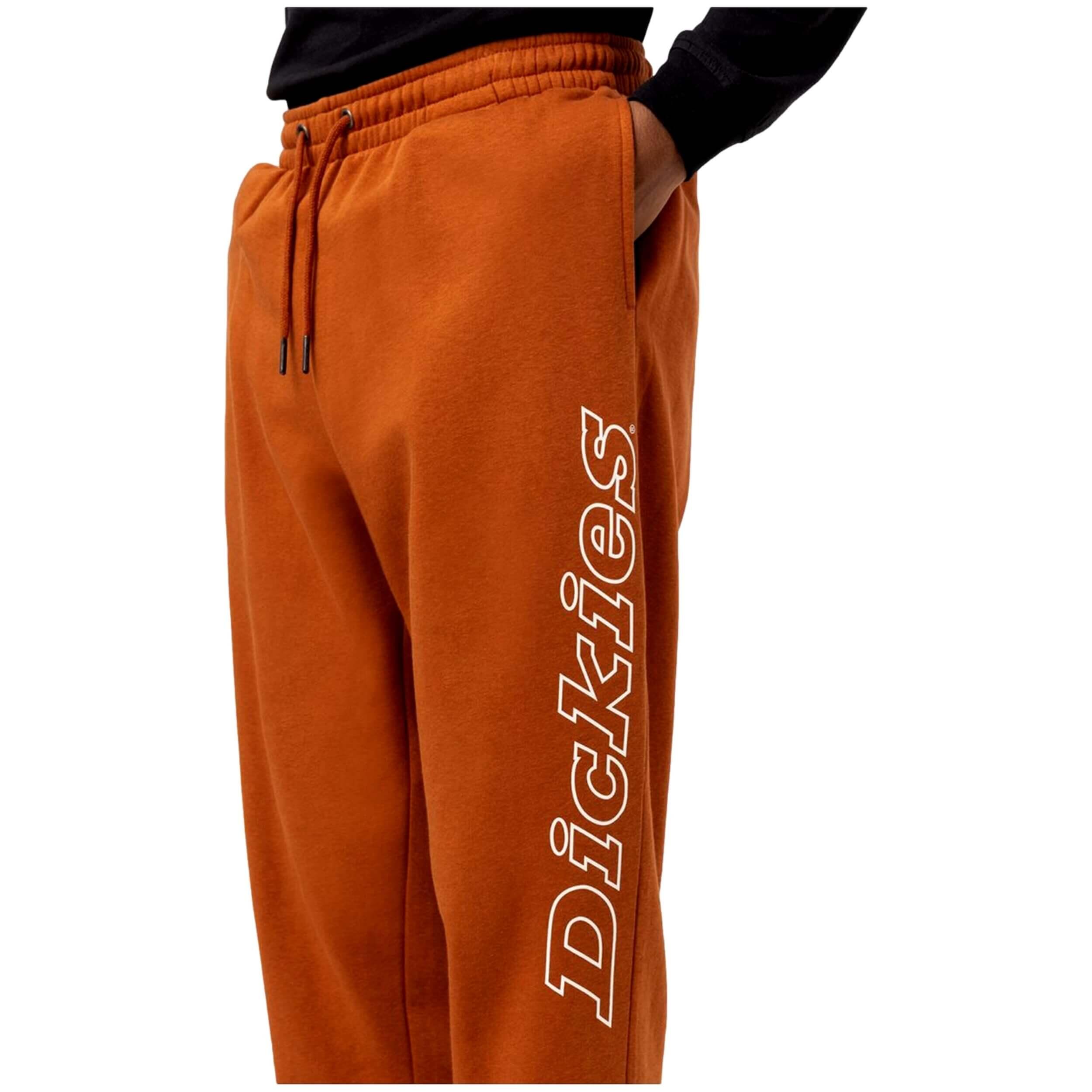 Pantalones y sobrepantalones para Hombre Dickies Uniontown  Marrón 3/3