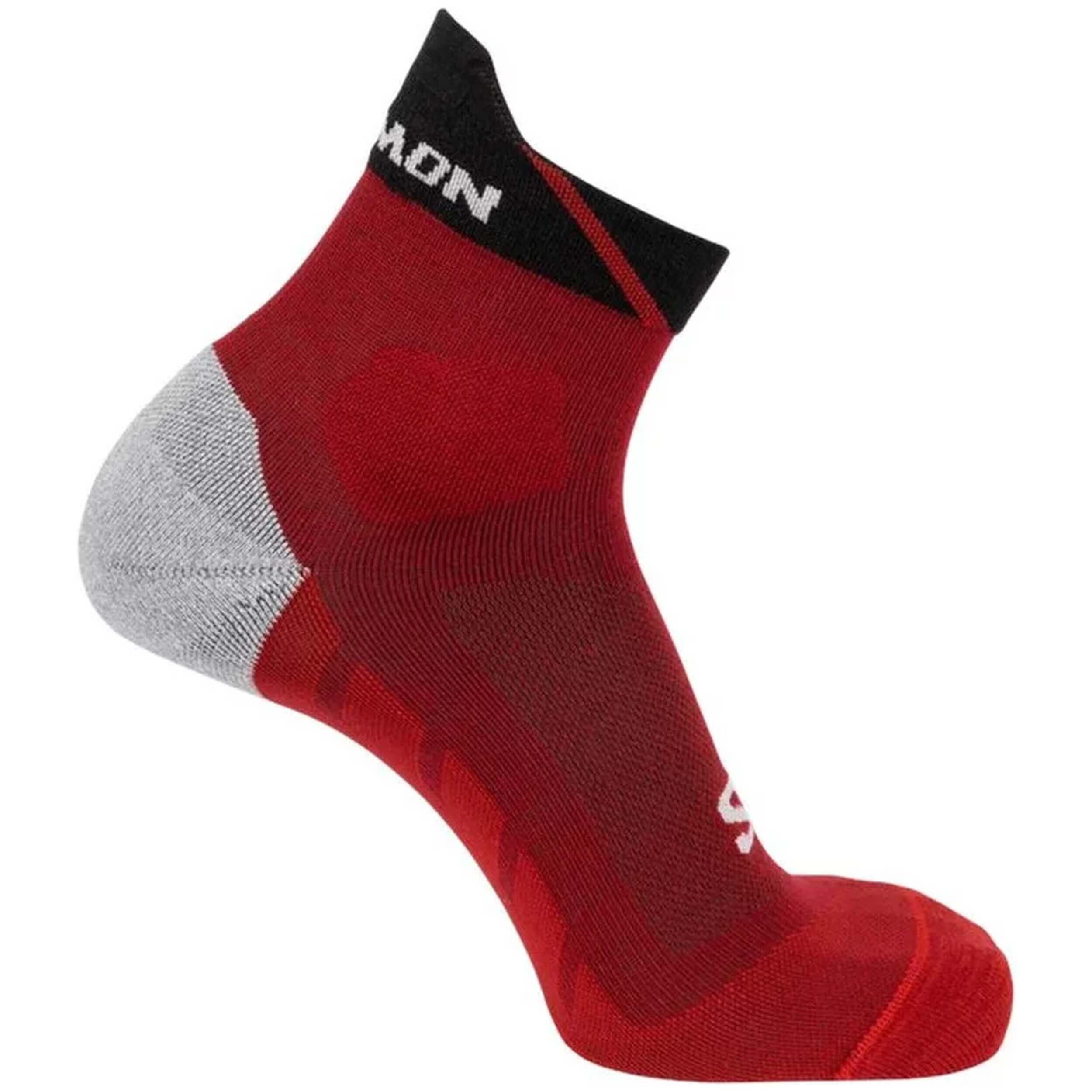 SALOMON picture