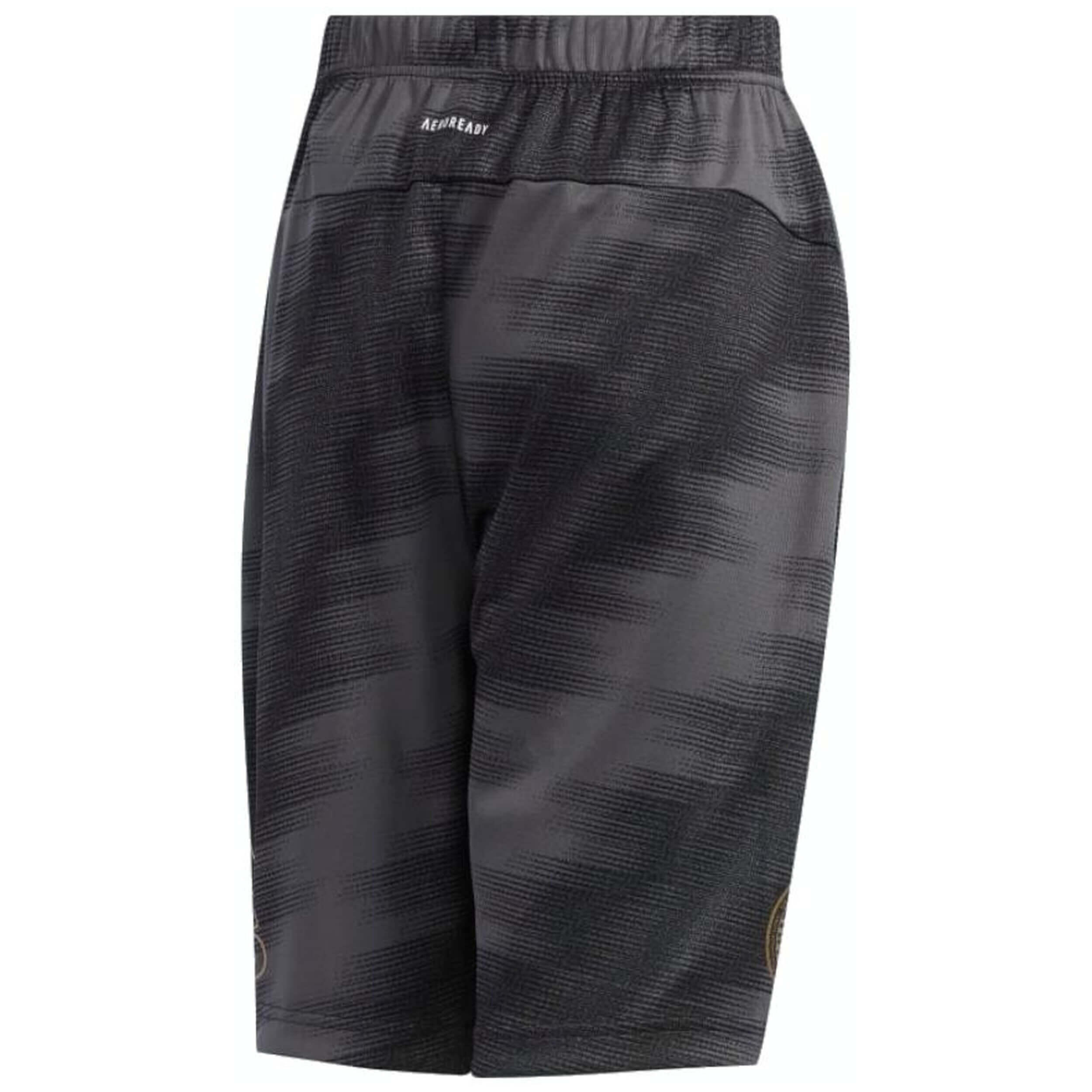 Pantaloncini Adidas modello FM2889 per uomini 2/2