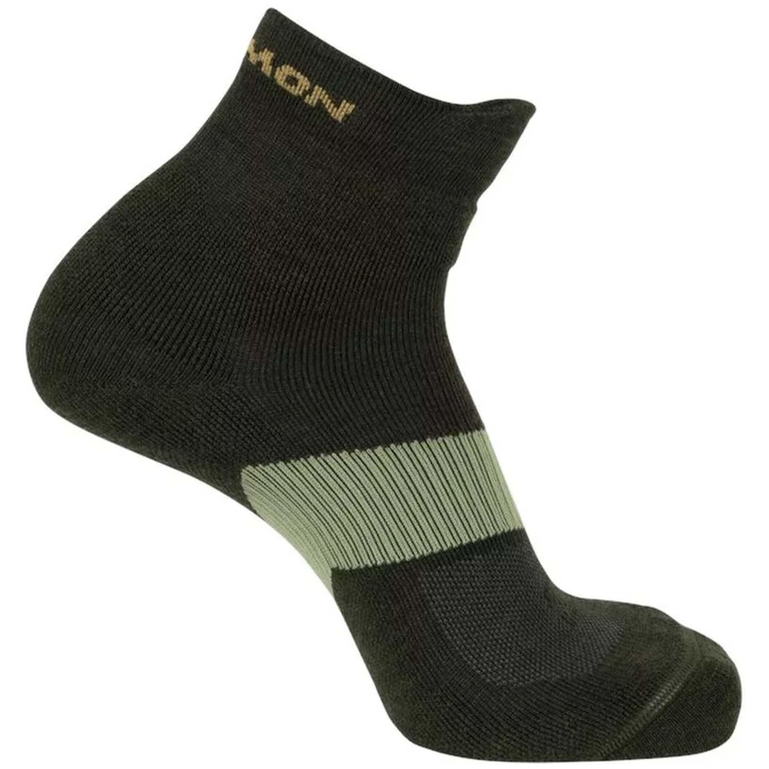 SALOMON picture