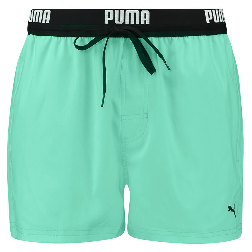 PUMA picture