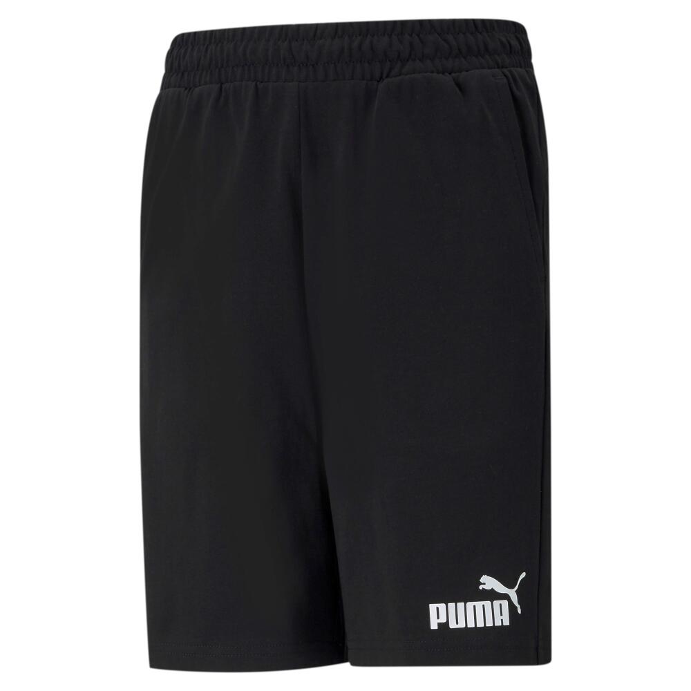 PUMA picture