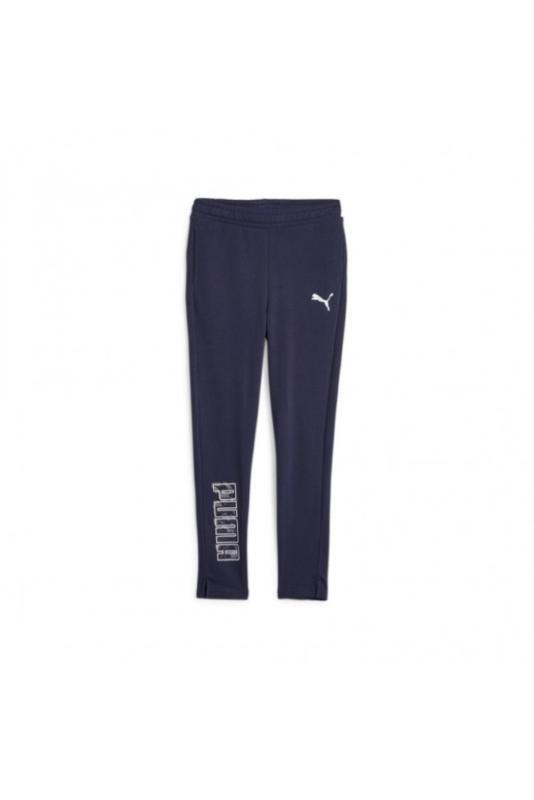 PUMA picture