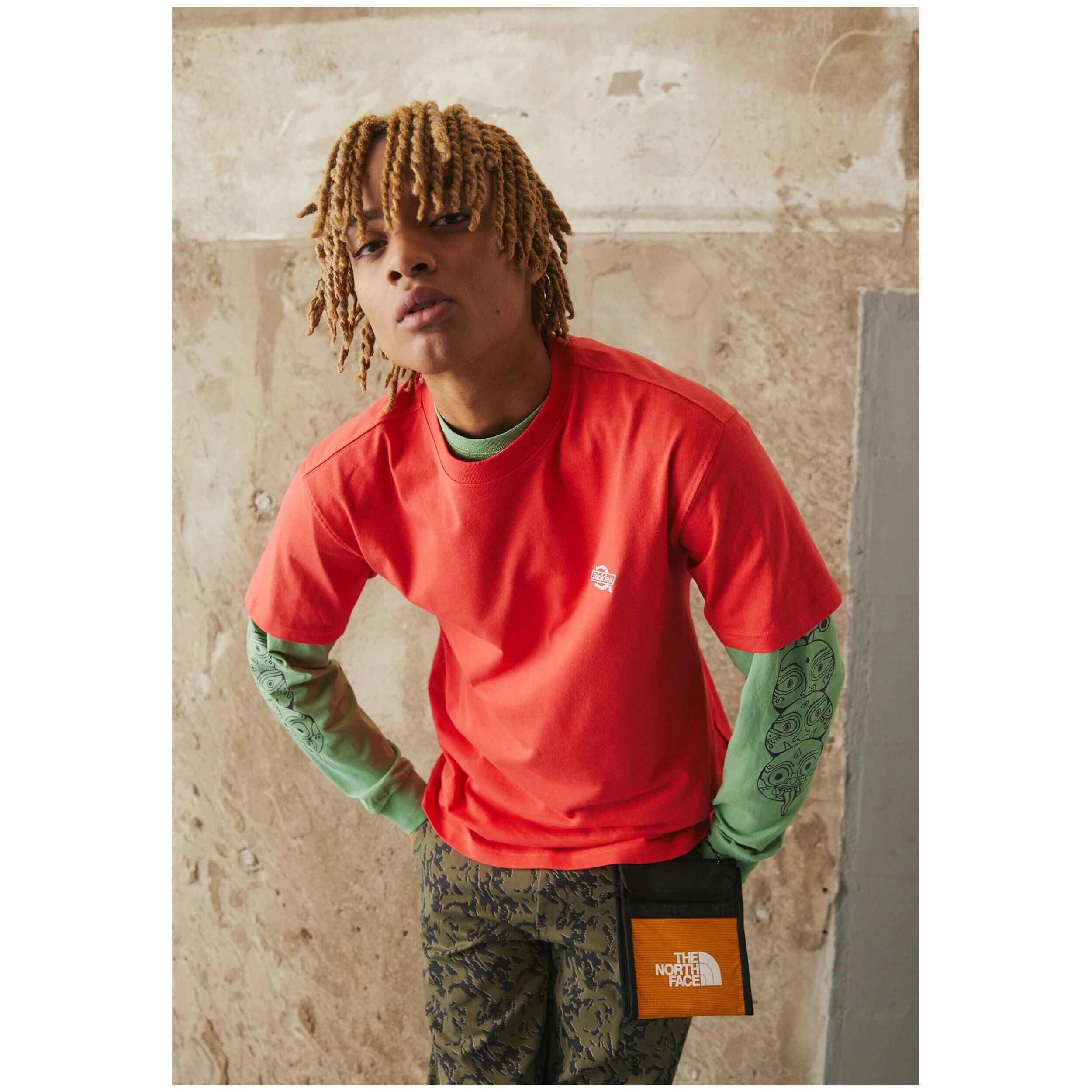 Camiseta de manga corta Dickies para hombre 5/5