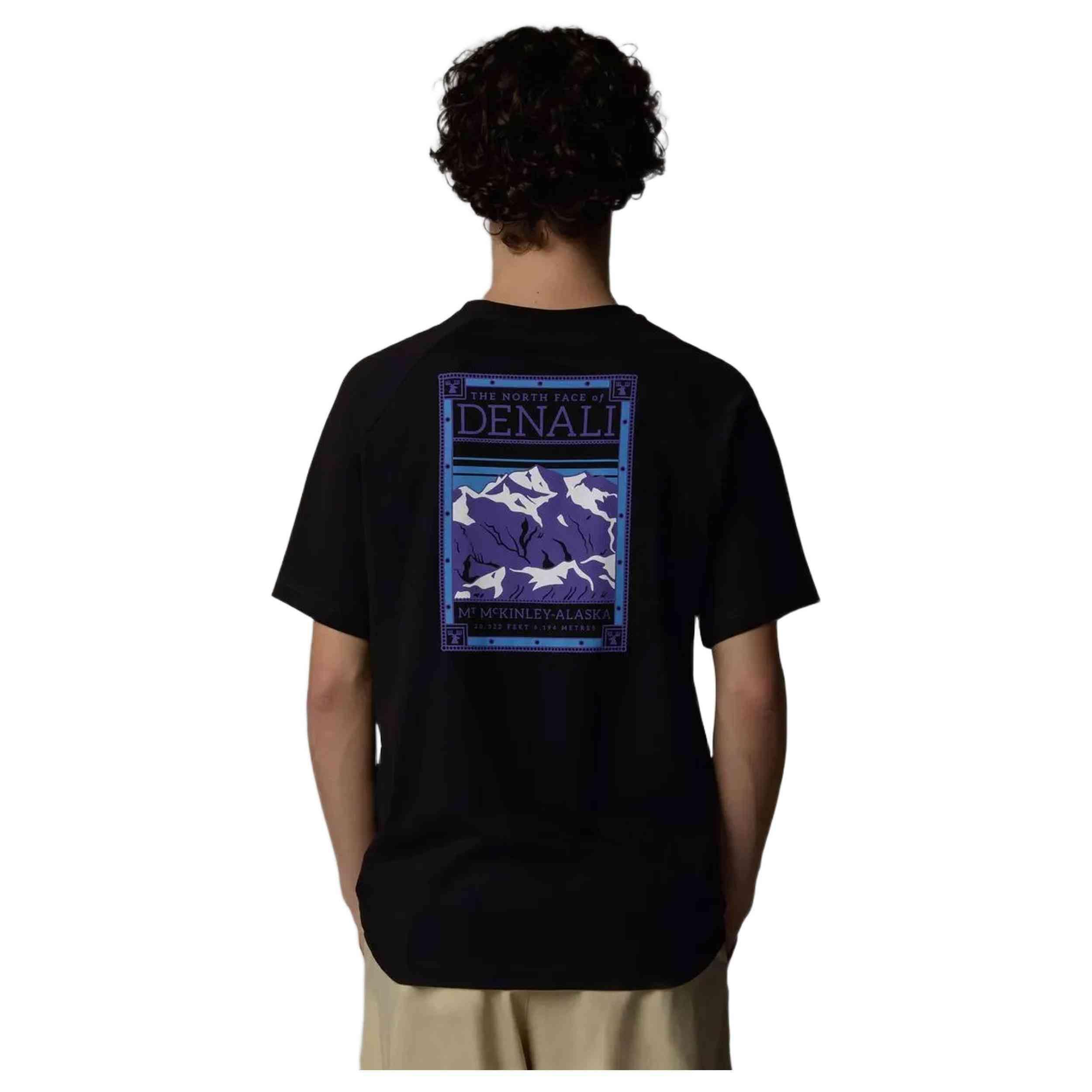 T-shirt The north face Redbox Celebration pour homme 2/4