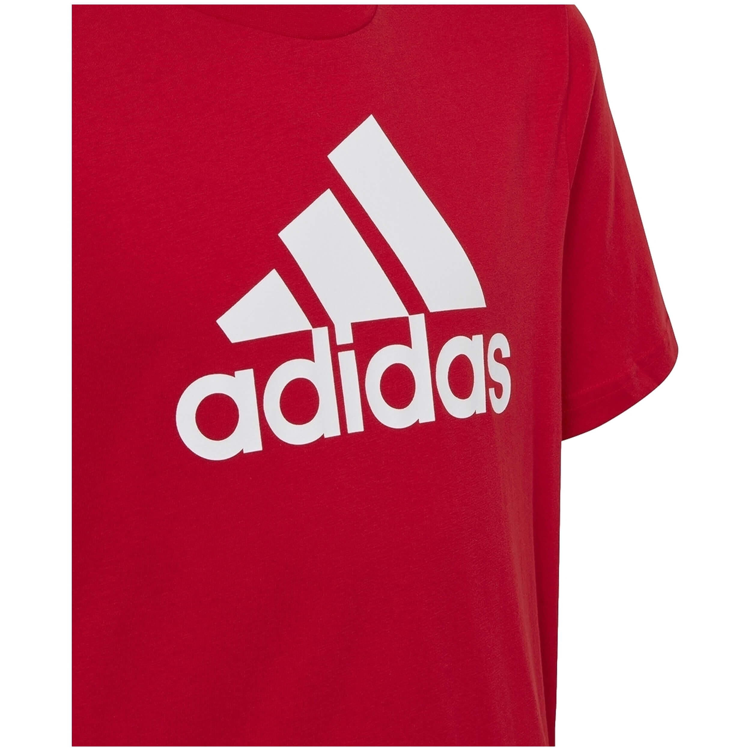 T-shirt Adidas modèle IC6856 pour homme 5/5