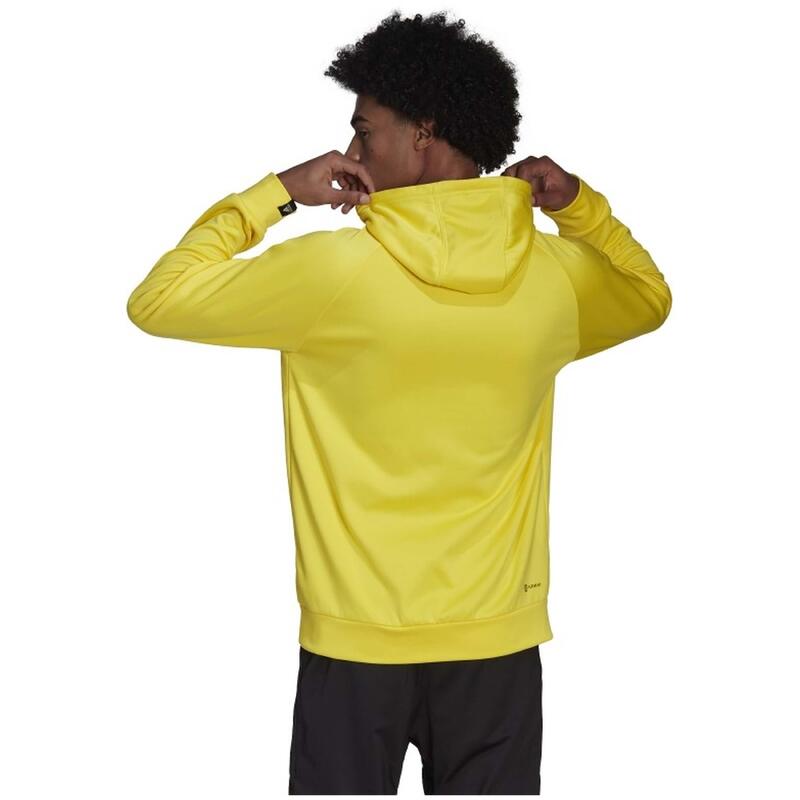 Sweat à capuche Adidas pour homme