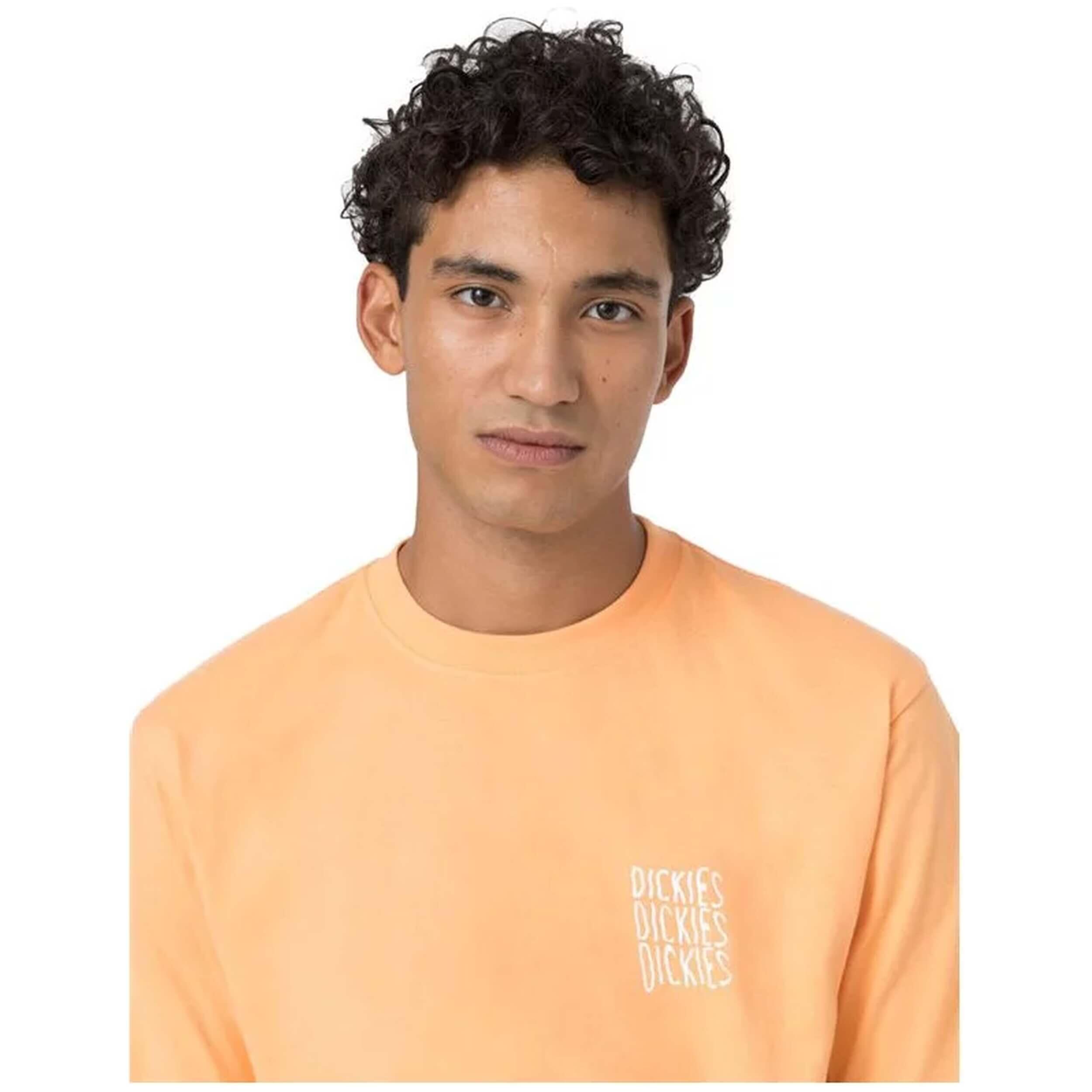 T-shirt met korte mouwen Dickies Creswell voor mannen 5/5