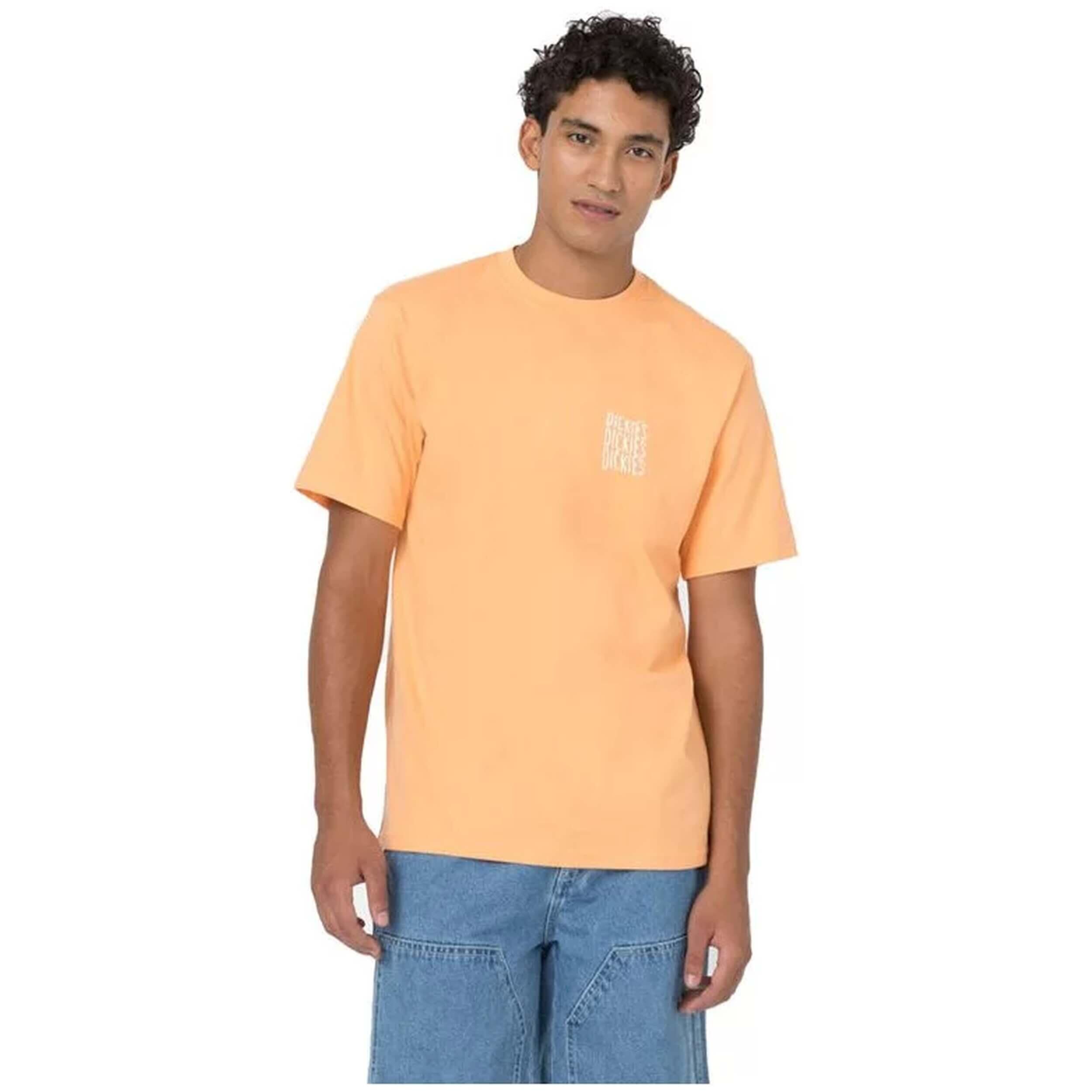 Dickies Playera De Manga Corta Para Bolsillo Tee Big-tall, M, Negro
