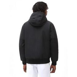 Veste Dickies New Sarpy pour homme
