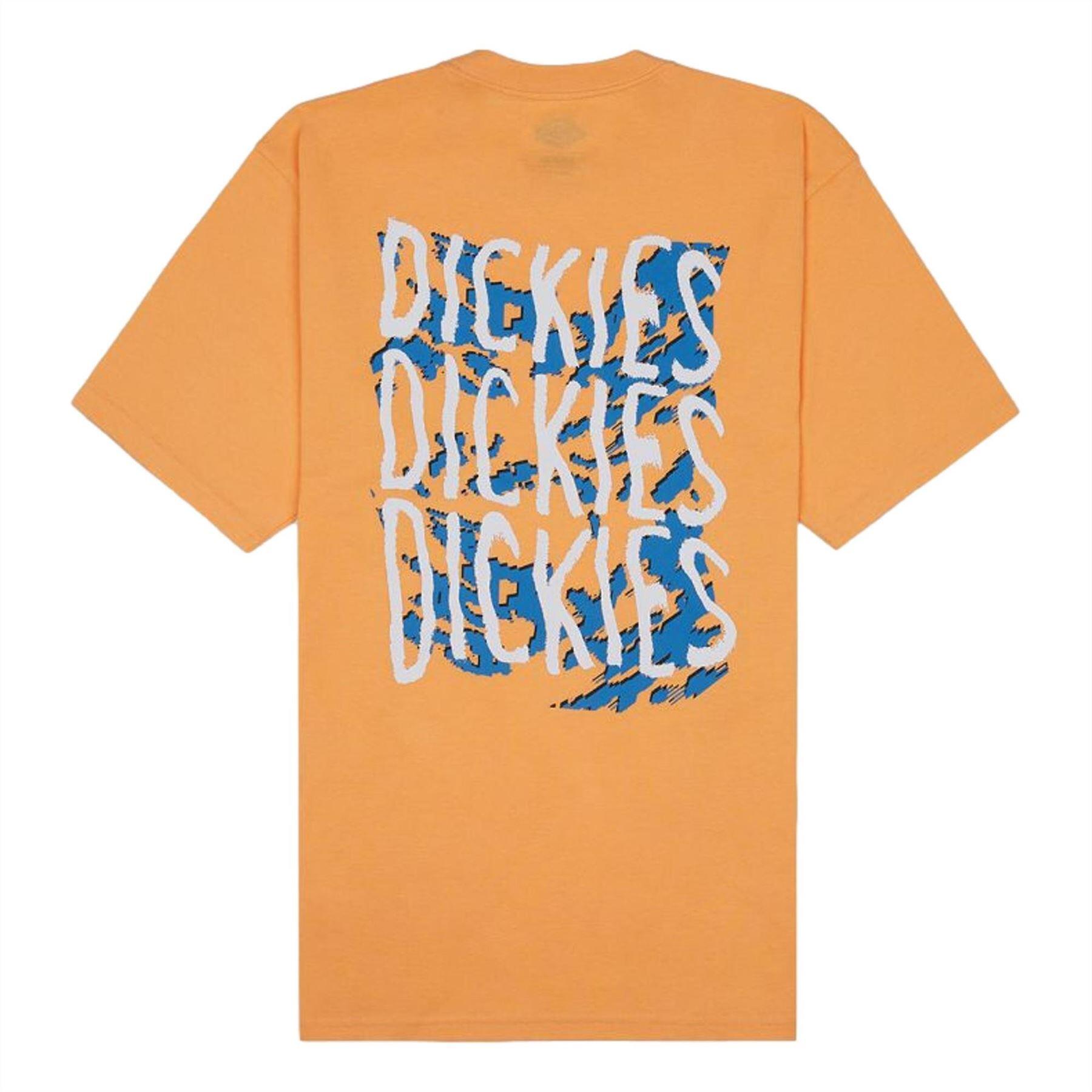 DICKIES picture