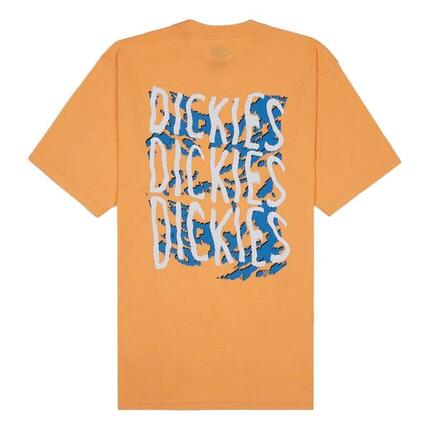 Camiseta de manga corta Dickies Creswell para hombre
