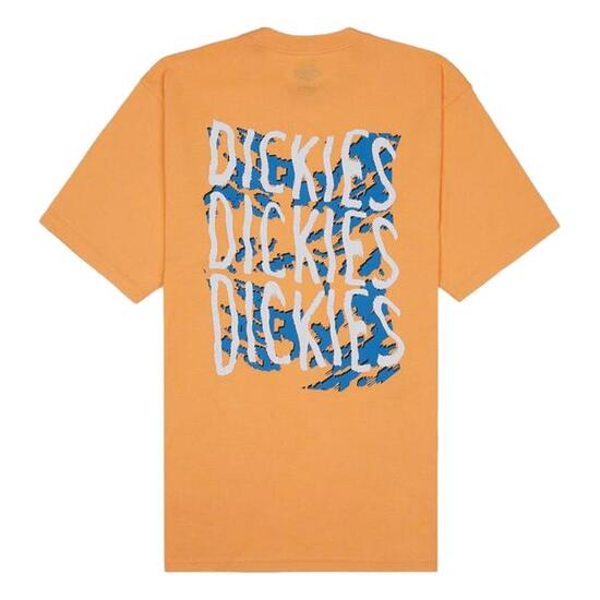 Camiseta de manga corta Dickies Creswell para hombre