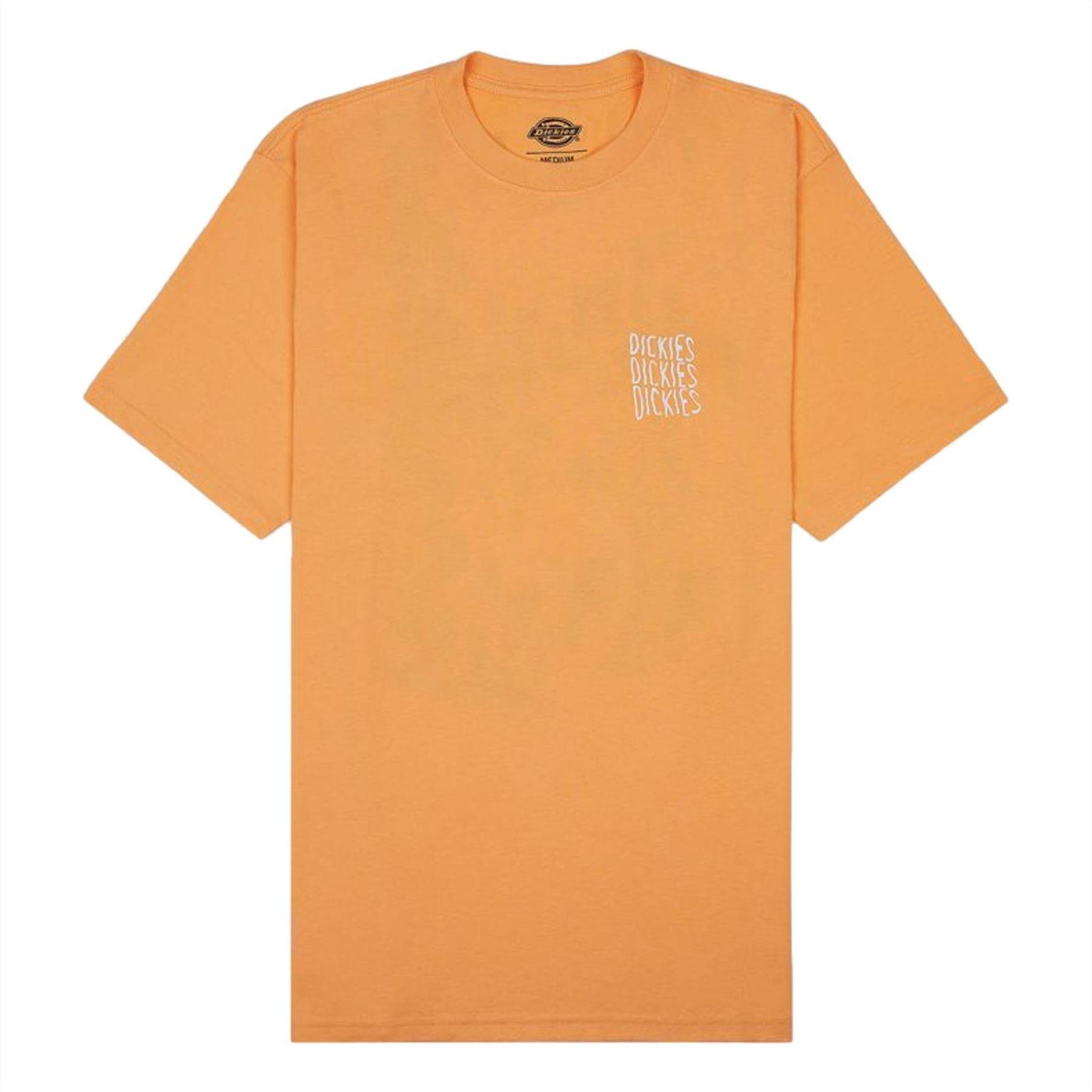 T-shirt met korte mouwen Dickies Creswell voor mannen 2/5