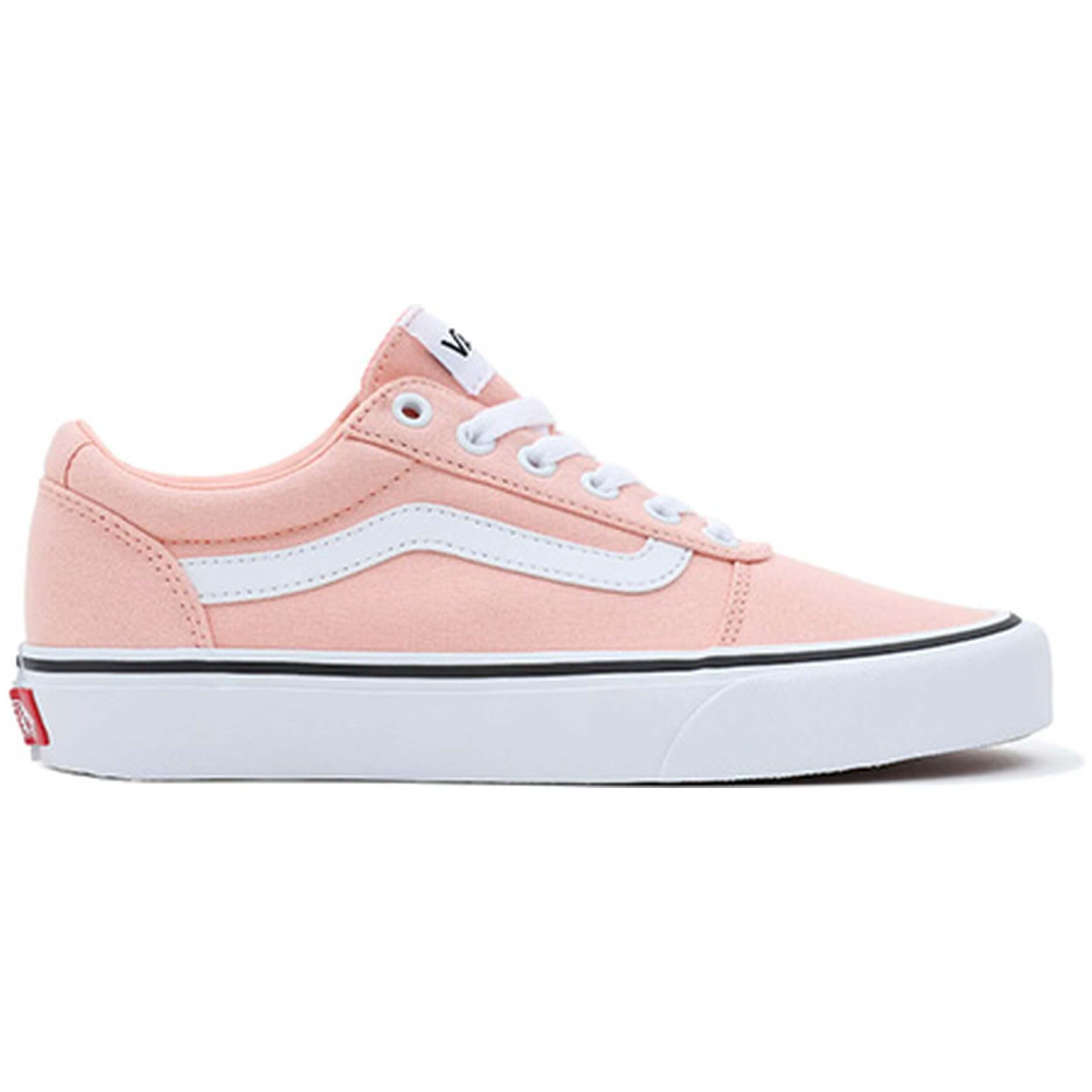 VANS picture