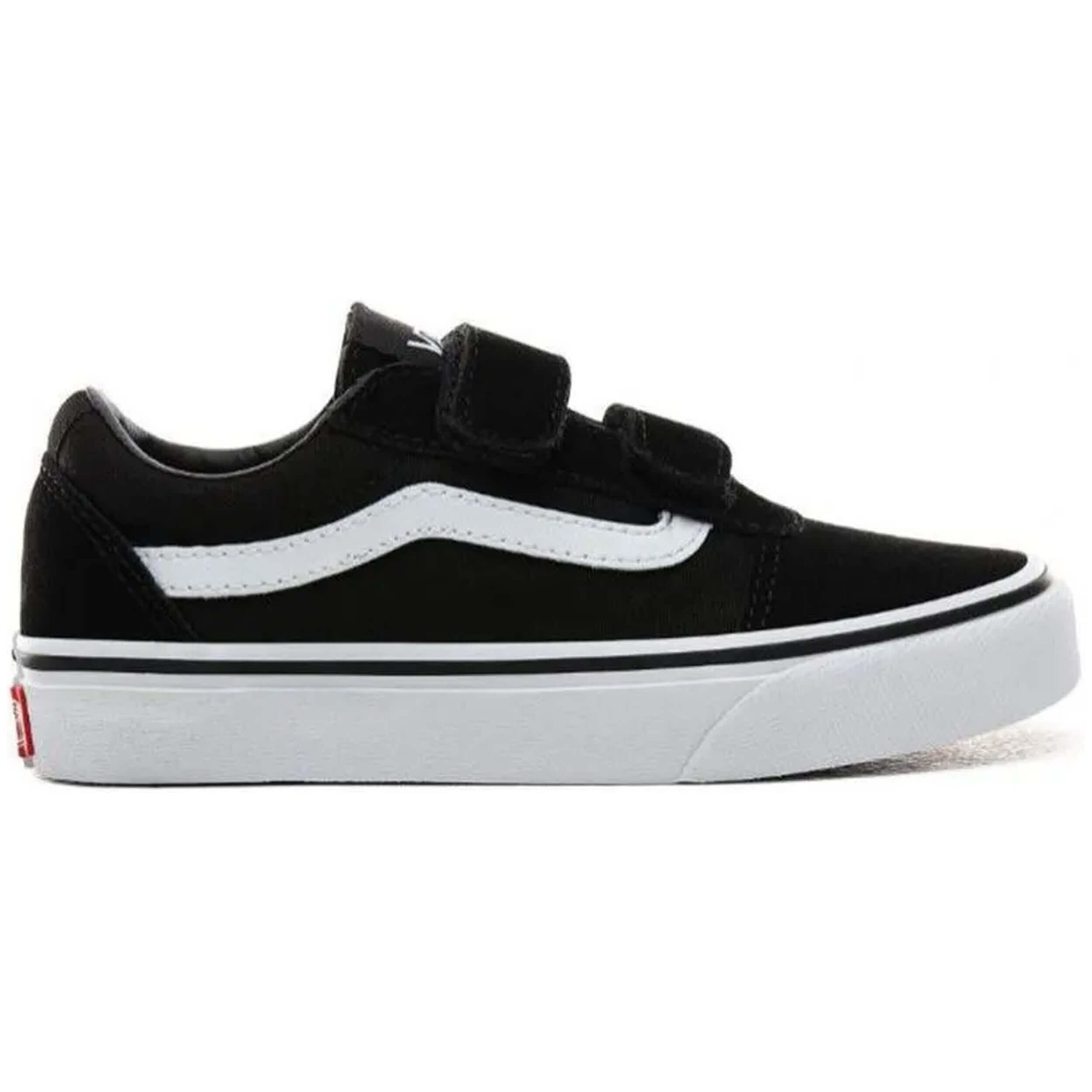 VANS picture