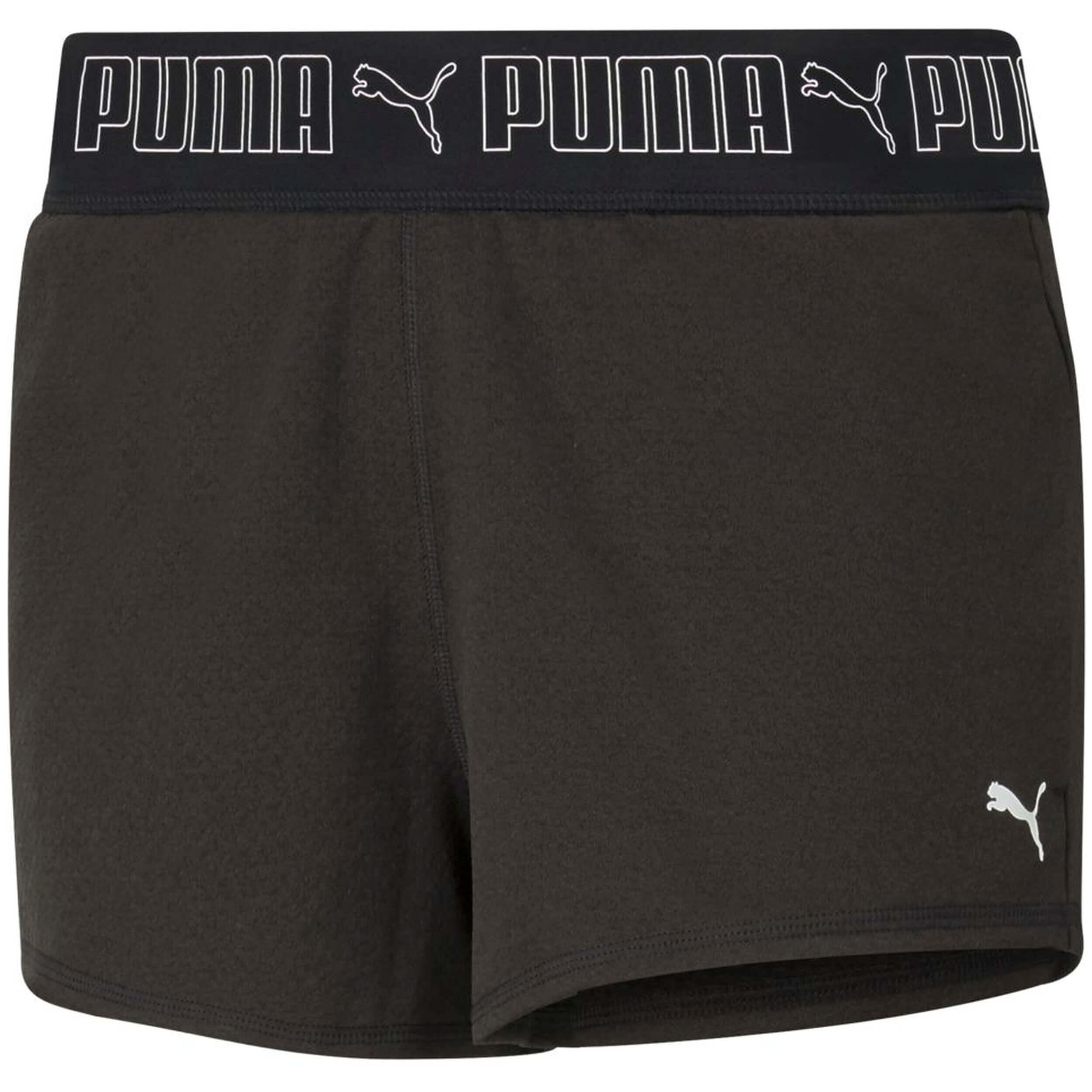 PUMA picture