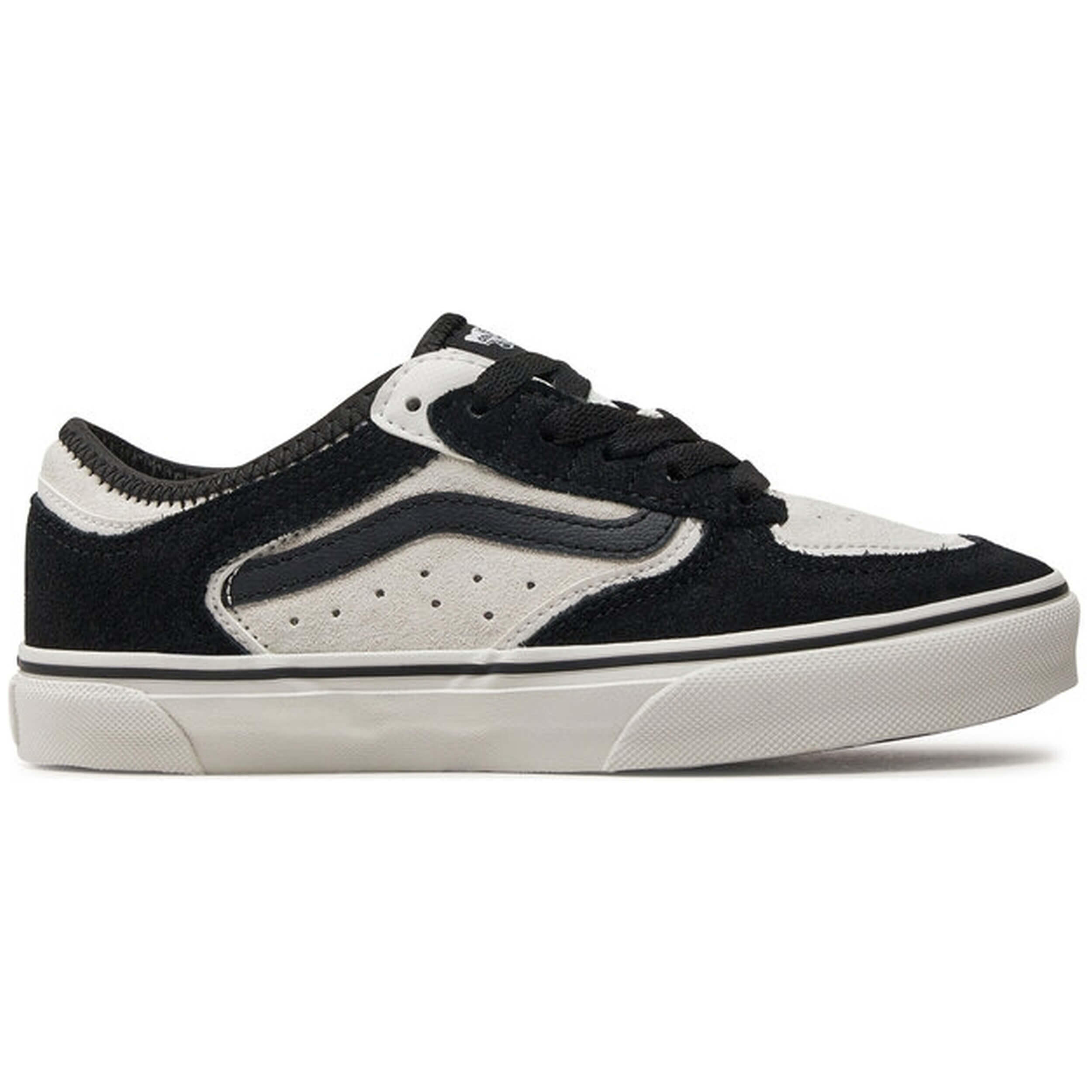 VANS picture