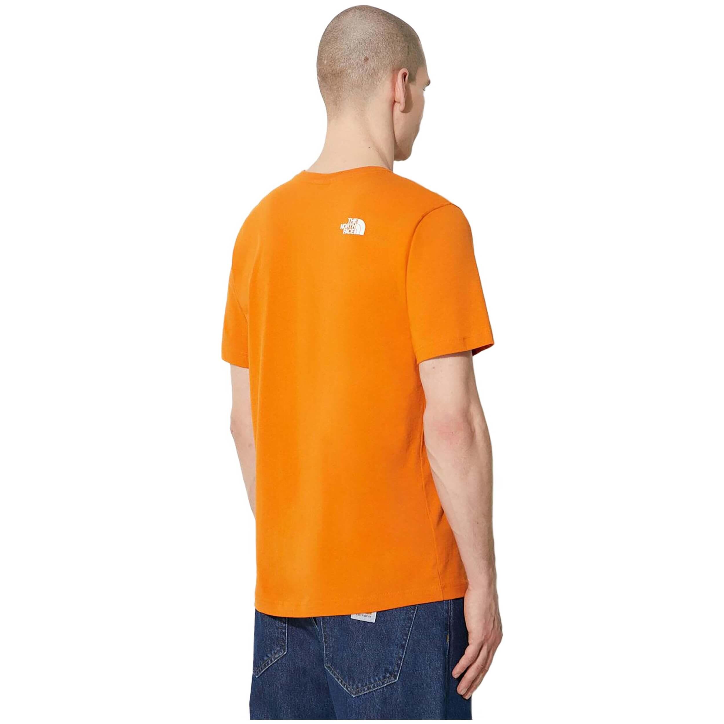 T-shirt The north face modèle NF0A87N5PCO1 pour homme 2/4