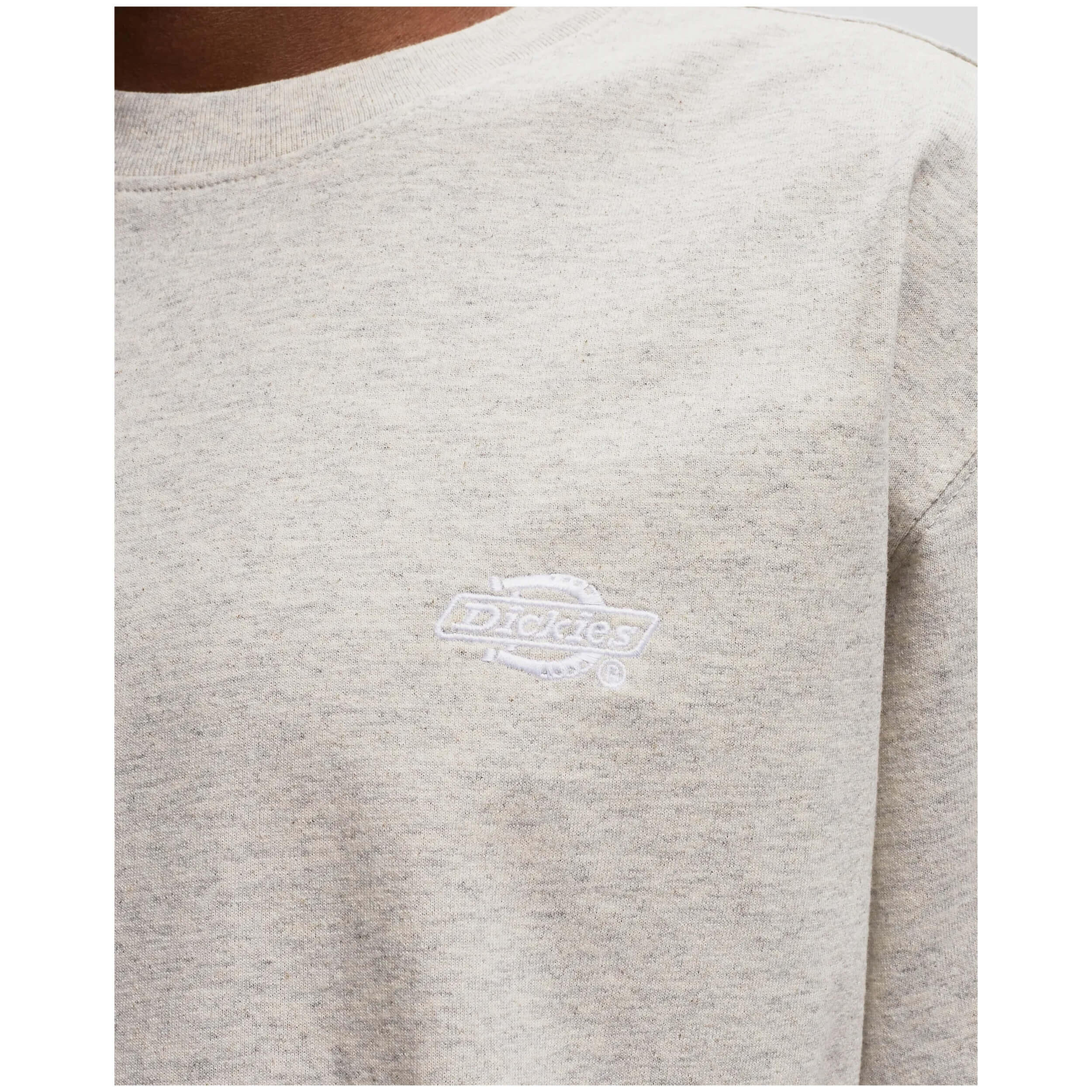 T-shirt Dickies Summerdale pour homme 5/5