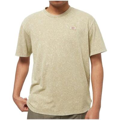 T-shirt met korte mouwen dickies newington tee voor mannen