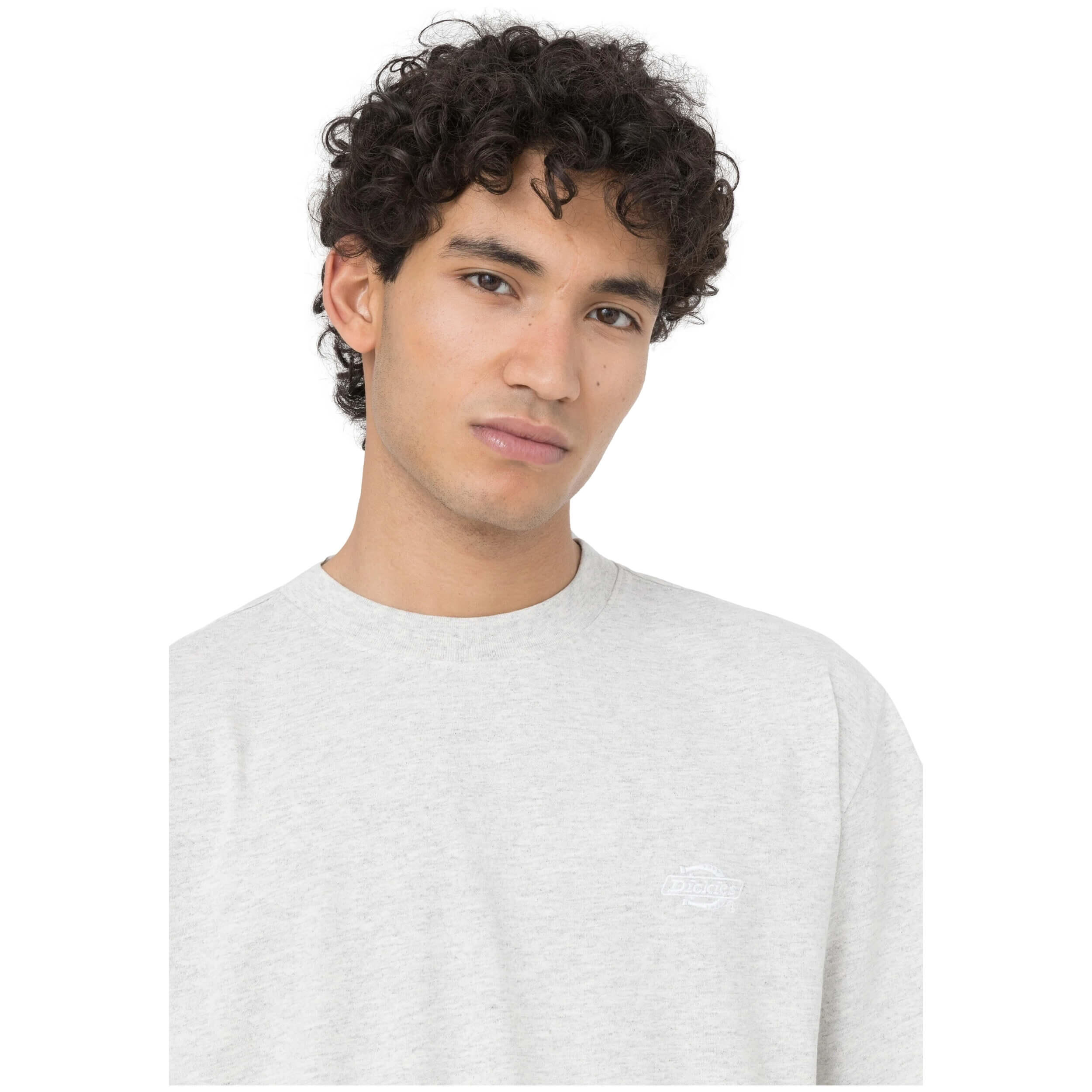 T-shirt Dickies Summerdale pour homme 3/5