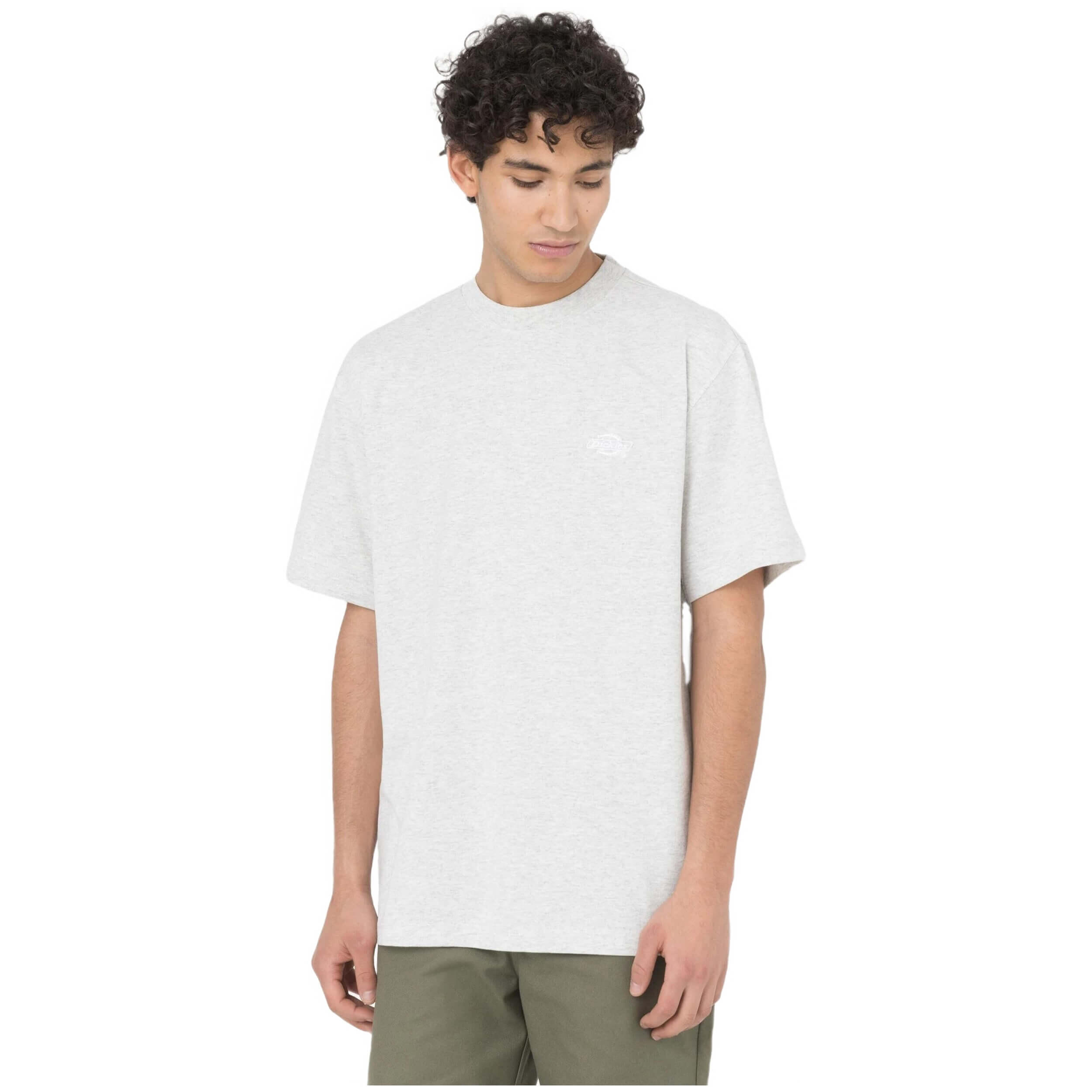 T-shirt Dickies Summerdale pour homme 1/5