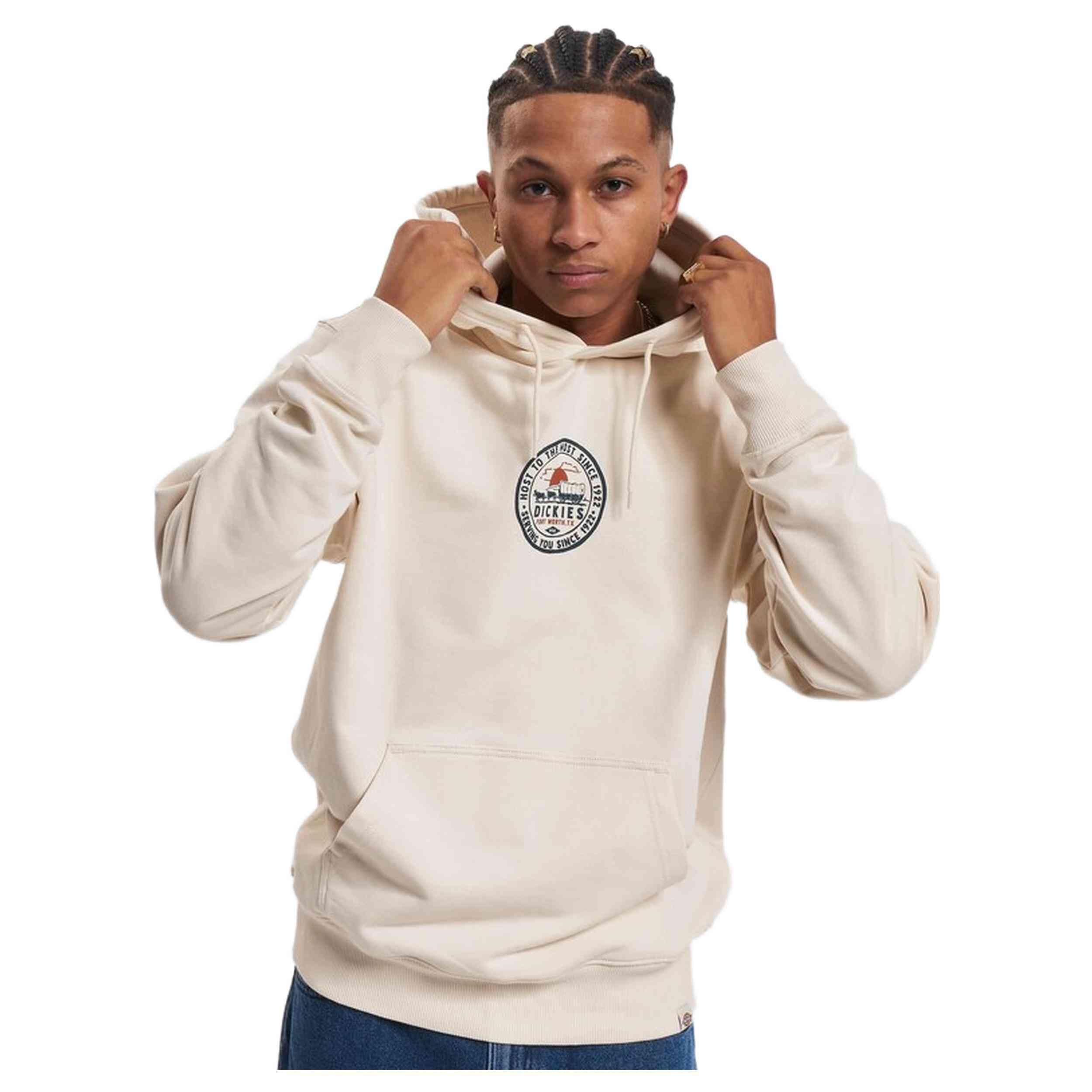 Felpa con cappuccio Dickies modello DK0A4YEK per uomini 2/4