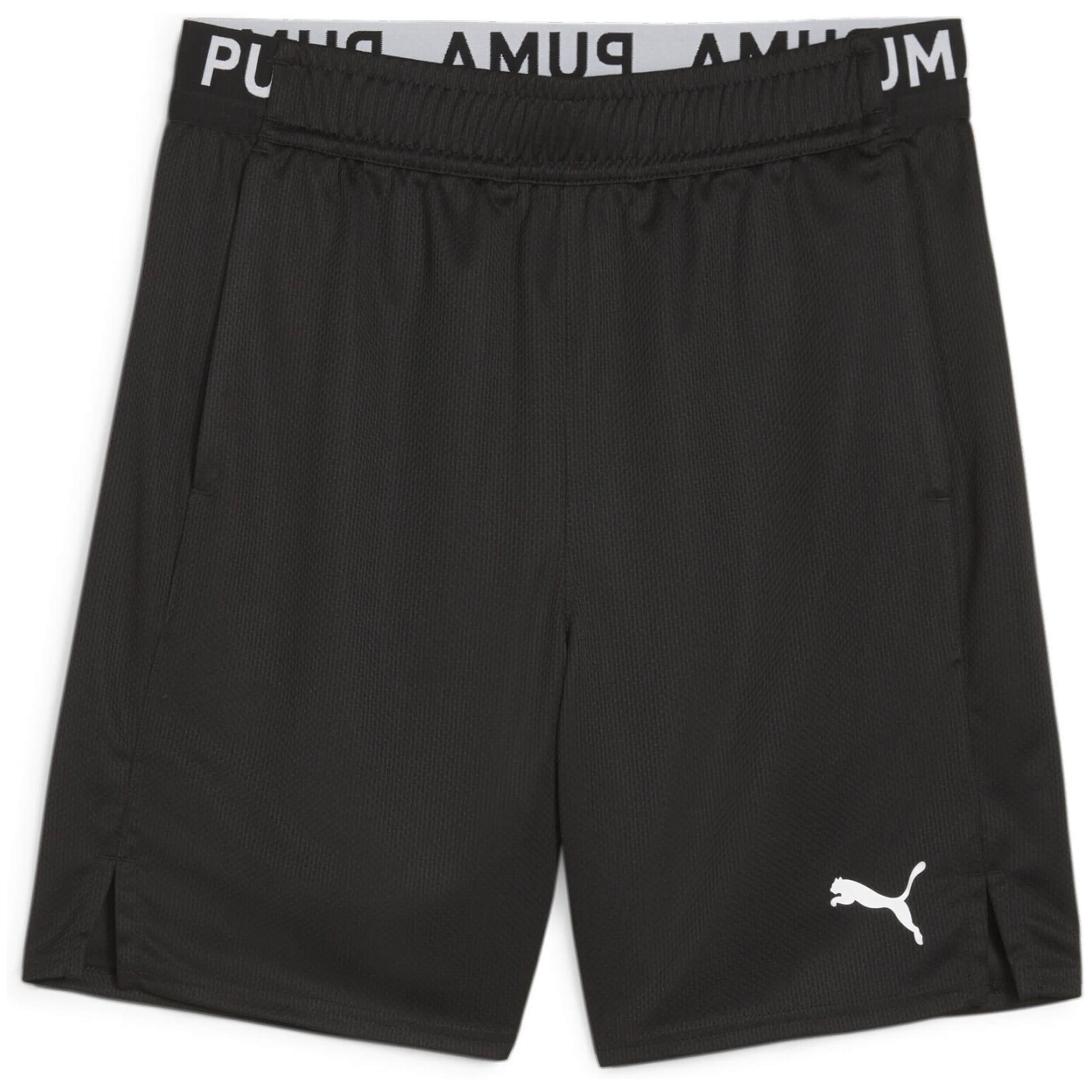 PUMA picture