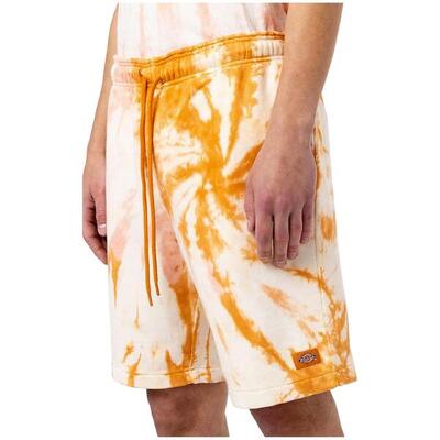 Korte broek dickies model dk0a4xnhc381-c38 voor mannen