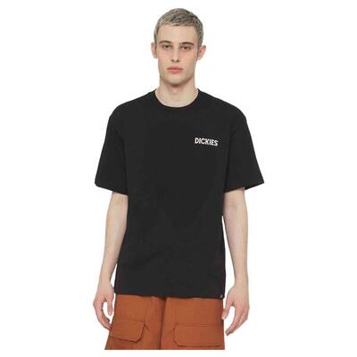 Camiseta de manga corta Dickies Beach para hombre