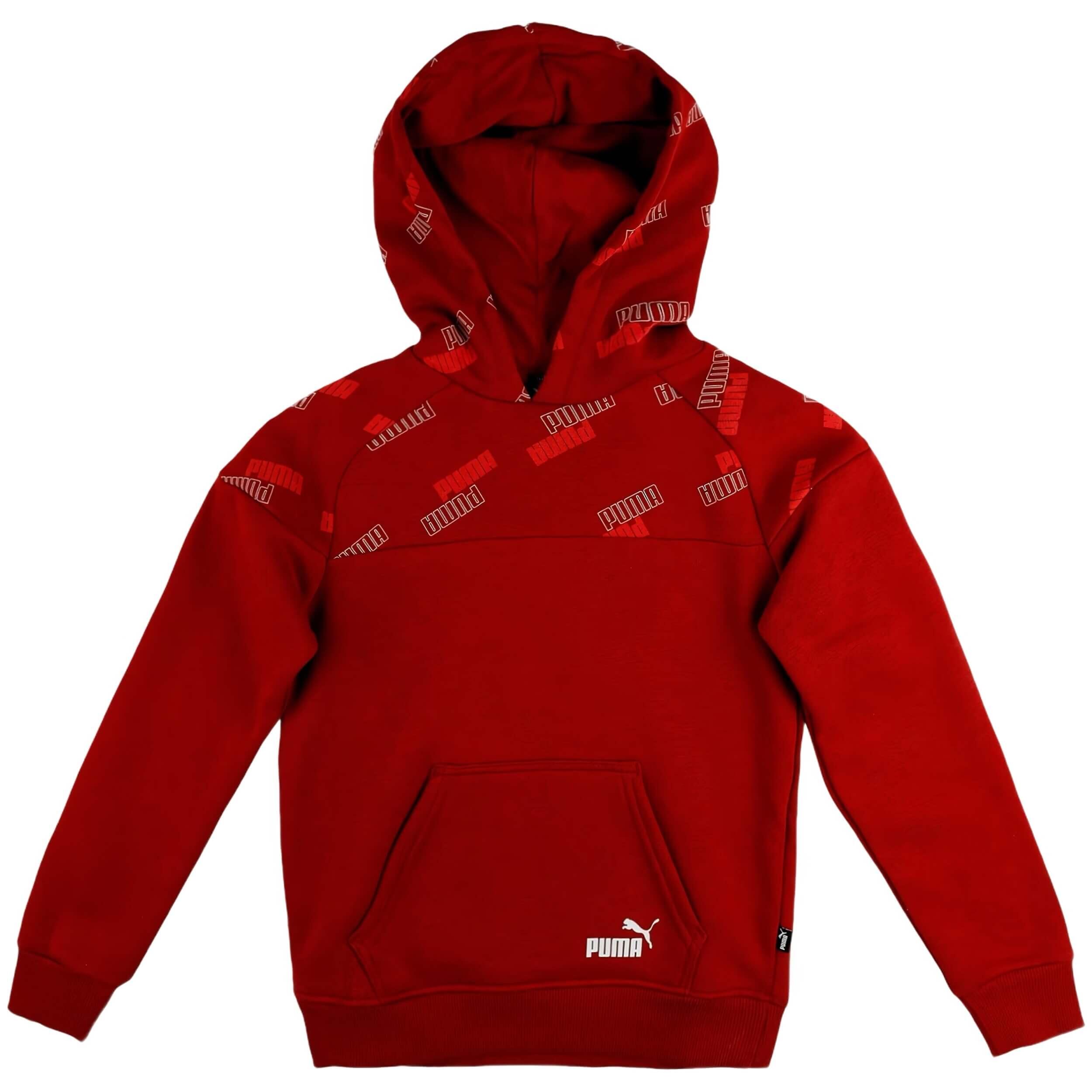 PUMA picture