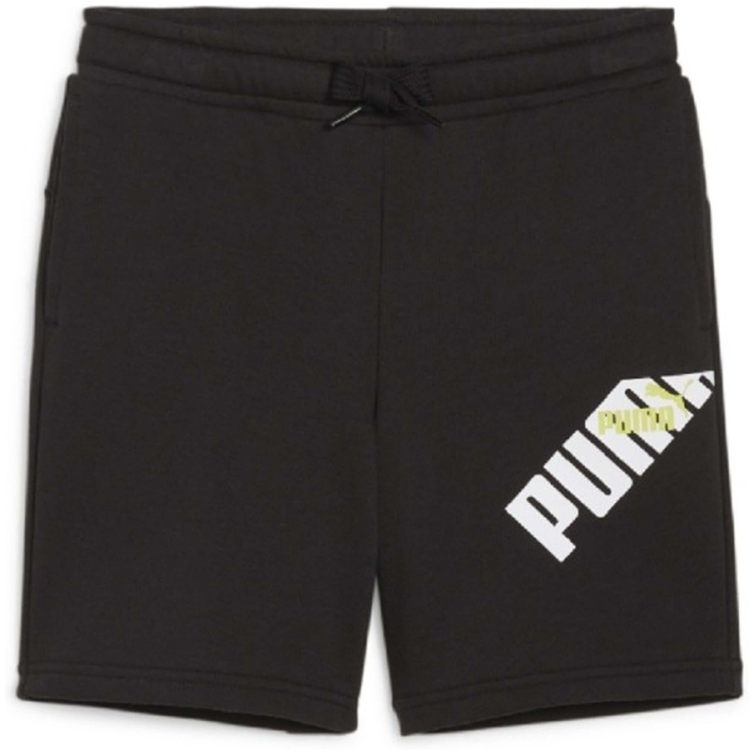 PUMA picture