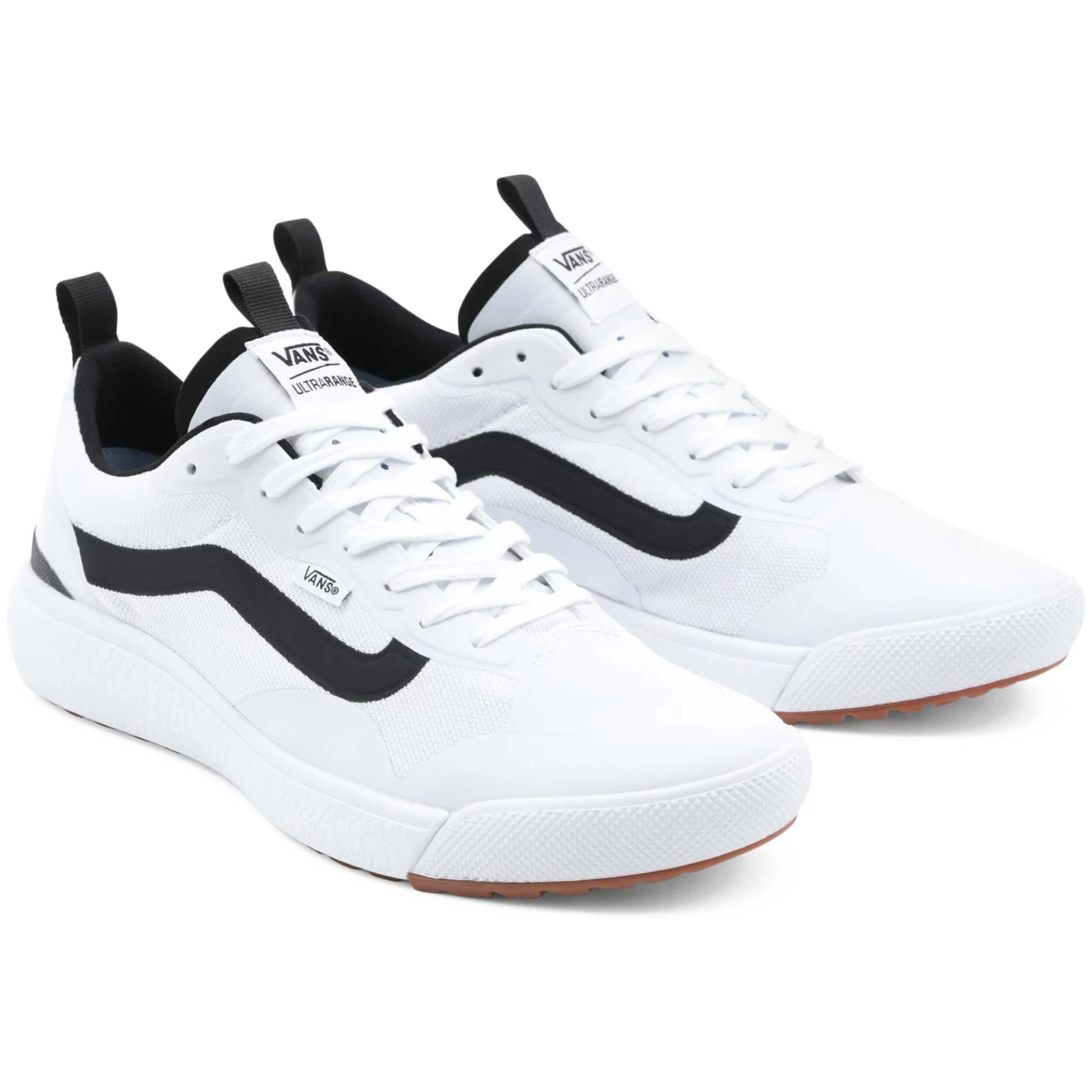 VANS picture