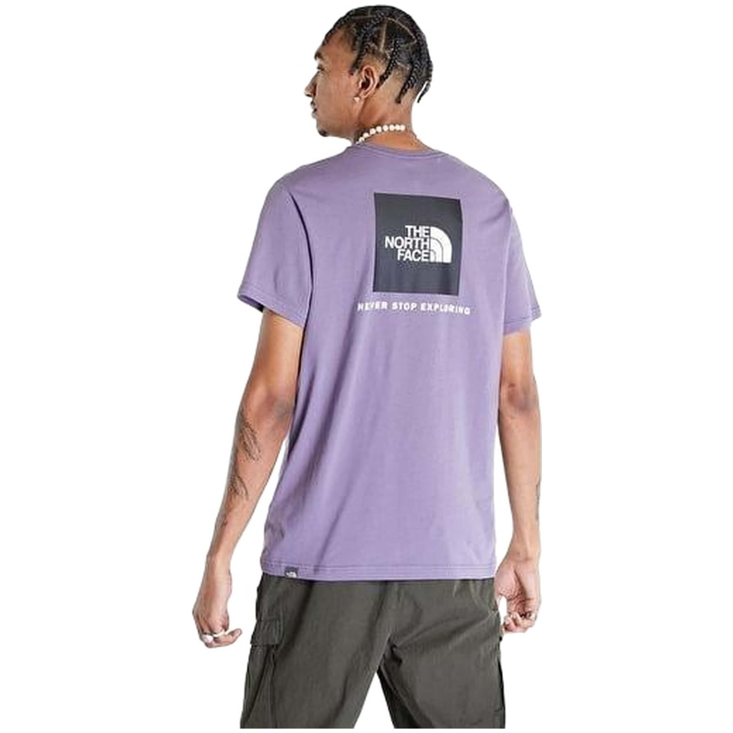 T-shirt The north face modèle NF0A2TX2N141 pour homme 2/6