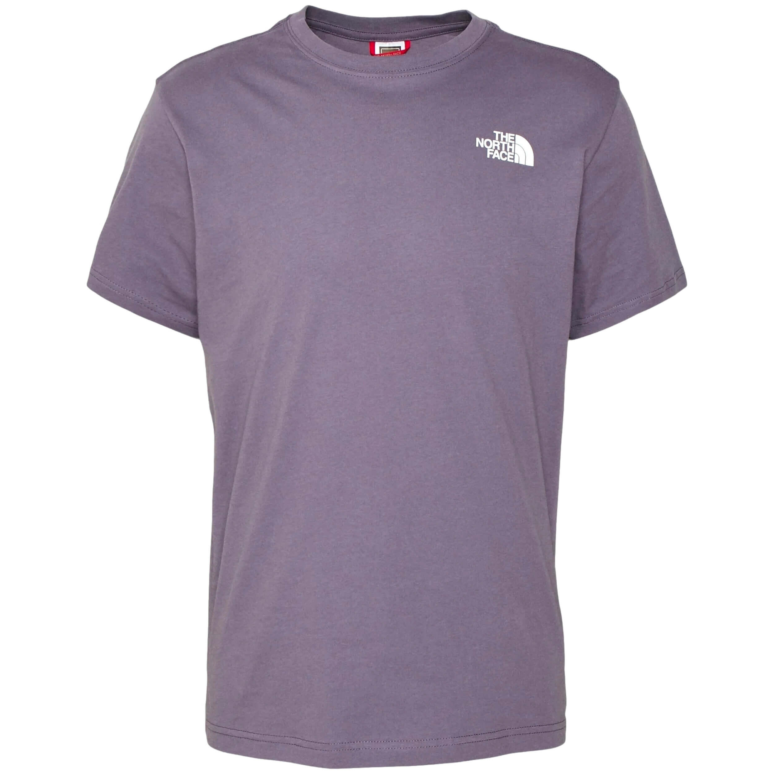 T-shirt The north face modèle NF0A2TX2N141 pour homme 3/6